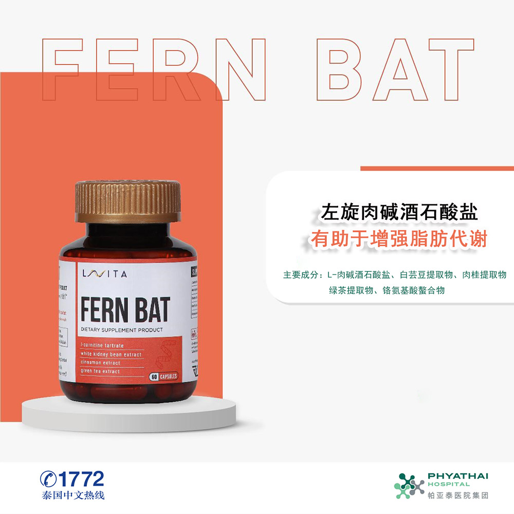 FERN-BAT