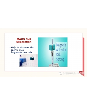 MACS精子磁筛检查技术，检查DNA碎片率！