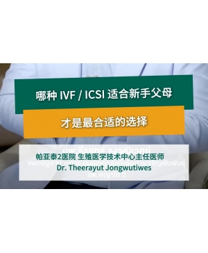哪种 IVFICSI 适合新手父母，才是最合适的选择